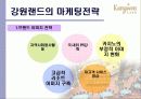 강원랜드 11페이지