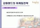 강원랜드 12페이지