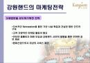 강원랜드 13페이지