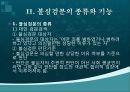 불심검문 4페이지