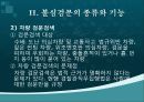 불심검문 5페이지