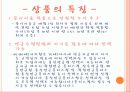 금융상품분석 금융경영 7페이지