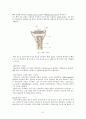 칼슘과골다공증 8페이지