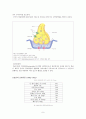 칼슘과골다공증 9페이지