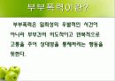 [★★★부부폭력 해결책★★★] 부부싸움의 실태, 부부싸움의 원인과 해결책, 나의 견해 3페이지