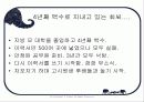 [여피족과 니트족] 여피족과 니트족의 개념 및 사례와 대책방안 7페이지
