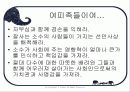 [여피족과 니트족] 여피족과 니트족의 개념 및 사례와 대책방안 9페이지