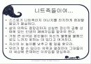 [여피족과 니트족] 여피족과 니트족의 개념 및 사례와 대책방안 10페이지