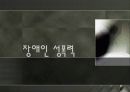 [장애인 성폭력] 장애인 성폭력의 실태와 원인 및 장애인 인권침해 사례, 문제점, 복지정책, 장애인 복지방안 3페이지