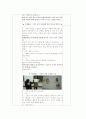 [어린이집 모의수업 지도안 모음] 만 5세 대상 활동지도안 4개 모음집 (주제  산의  나뭇잎과 돌멩이, 꽃) 14페이지