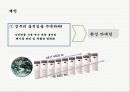 LG전자의 중국시장진출전략 5C 분석  25페이지