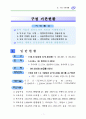 기초단체의 사회복지계획요약 11페이지