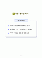 기초단체의 사회복지계획요약 95페이지