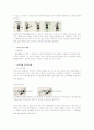 스포츠재활 8페이지