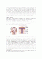 신경계의 구조와 기능으로 그림 포함 4페이지