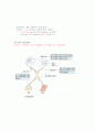 신경계의 구조와 기능 2페이지