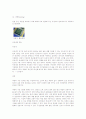 반도체소자의 제조공정 (제조공정에 그림 첨부) 5페이지