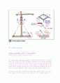 크레인 사망 재해 실태와 안전 대책  21페이지
