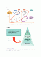 채용절차 5페이지