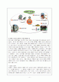 로봇(Humamoid Robot ), 사이보그, 로봇과 인간의 비교, 로봇의 정의와 필요성, 사용분야, 로봇과 인간의 공존원칙 10페이지