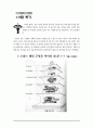 아동복지시설 퇴소아동 대상  실제 사용하고 있는 자립지원 프로그램 메뉴얼(아동용)-미리보기 확인요^^ 24페이지