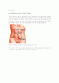 소아 inguinal hernia의 해부학적 구조  4페이지