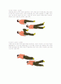 노인 스트레칭 요법 4페이지