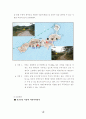 빗물 이용 시스템의 경제성 비교분석 6페이지