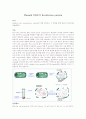 Plasmid DNA의 Restriction pattern  1페이지