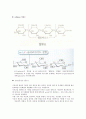 5.STRUCTURE & BENEFICIAL EFFECT 3페이지
