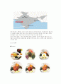 본비빔밥 인도시장진출게획서 12페이지