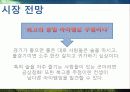 복고-관광마케팅 15페이지