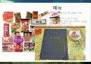 복고-관광마케팅 26페이지