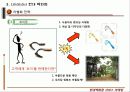 서비스 마케팅-현대백화점 경영분석 17페이지