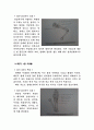 태권도 품새종류와 그에 따른특징(해부학,생리학적으로) 5페이지