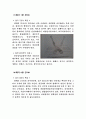 태권도 품새종류와 그에 따른특징(해부학,생리학적으로) 8페이지