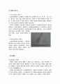 태권도 품새종류와 그에 따른특징(해부학,생리학적으로) 12페이지