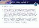 광역행정 20페이지