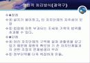 광역행정 21페이지
