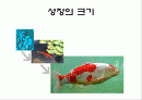 셀프리더십 2페이지