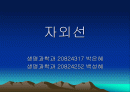 자외선 1페이지