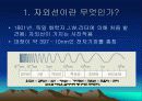 자외선 3페이지