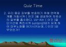 자외선 16페이지