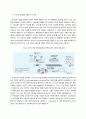 미생물을 이용한 산업 4페이지