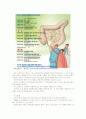 [성인간호학] 장루 담당간호사가 수행해야 할 장루 사정의 내용과 교육내용, 도움이 될 만한 단체의 역할과 기능 등 유용한 정보를 조사 - [사례자] 장루환자. 65세 김씨 12페이지