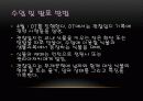 식물 3페이지