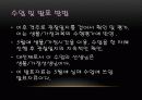 식물 4페이지