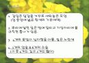식물 9페이지