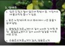 식물 11페이지