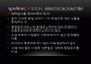식물 14페이지